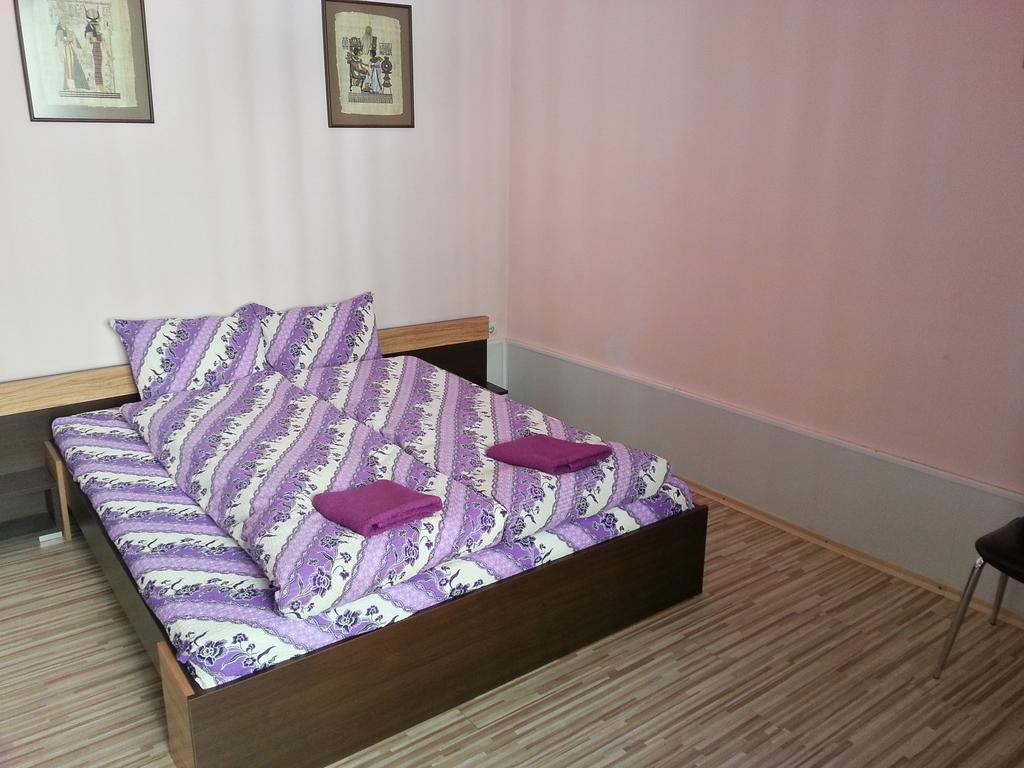 Guest House Zora ベログラドチク エクステリア 写真